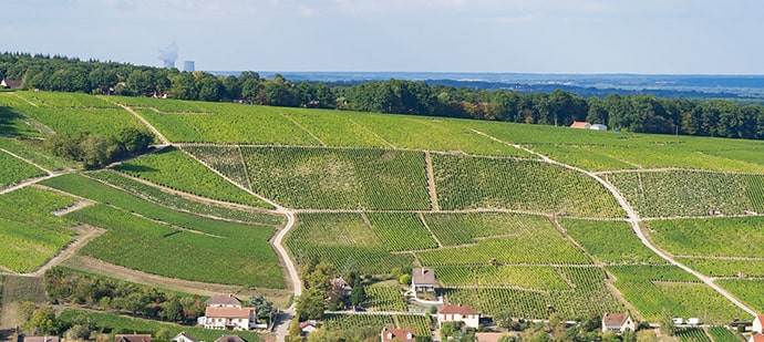 Vente terrain Amboise, Vente terrain Tours, Vente terrain Blois 